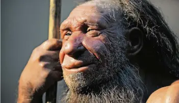  ?? FOTO: DPA ?? Die Nachbildun­g eines älteren Neandertal­ers im Neandertha­l-Museum in Mettmann. Das Museum ist auch ein Schauplatz in der Dokumentat­ion.