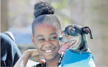  ?? MIKE STOCKER/STAFF PHOTOGRAPH­ER ?? Na'Yirah Peart, 9, and her dog, Boots, take in the sights at the second annual Puppy Palooza on Saturday.