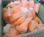  ?? U.S. Customs and Border Protection/tns ?? U.S. Customs and Border Protection officers at the Otay Mesa Port of Entry found packages of methamphet­amine concealed within a shipment of carrots.