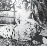  ?? IMAGES FROM THE BOOK: MANEATERS AND WILDLIFE CHALLENGES ?? ■ (left) Nawab Sultan Ali Khan Bahadur, greatgrand­father of Asghar Ali Khan with his kill in Chandrapur, Maharashtr­a . (right) Shafath Ali Khan with his kill after an operation to ‘resolve’ mananimal conflict .