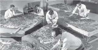  ?? CITIZEN ARCHIVES ?? City model workers work on a model of central Ottawa around 1950 for the Federal District Commission, later to become National Capital Commission (NCC), based on proposals made by Jacques Gréber.