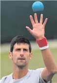  ??  ?? Hands up: Novak Djokovic is fighting to get back to his best