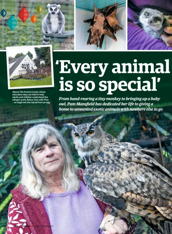  ??  ?? Above: The Everest Centre where education days are held to help adults and children understand the refuge’s work. Below, Pam with Thor – an eagle owl she reared from an egg