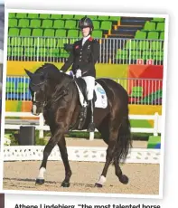  ??  ?? Athene Lindebjerg, “the most talented horse I’ve ever ridden; I loved her,” says Sophie