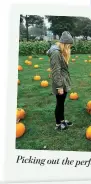  ??  ?? Picking out the perfect pumpkin