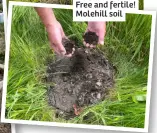  ?? ?? Free and fertile! Molehill soil