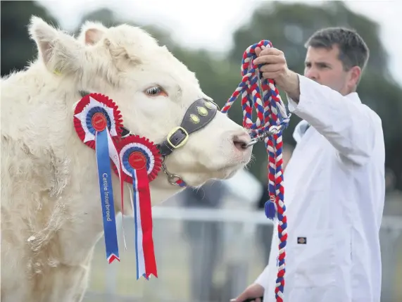  ??  ?? Postponed The Champion of Champions at the last Alyth Show, held in 2019. Pic: Clare Damodaran