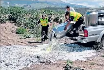  ?? PATRICIA OLEAS / EXPRESO ?? Desecho. La Policía derramó la leche en el botadero del Porlón.