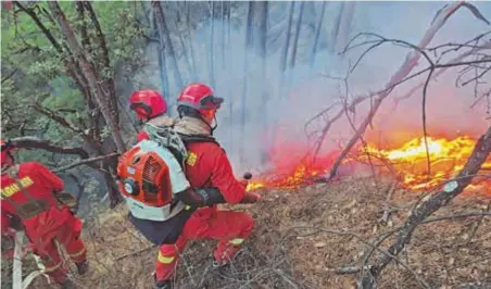  ?? ?? Firefighte­rs try to put out a fire in Baizi Village, Yajiang County, Tibetan Autonomous Prefecture of Garze in southwest China’s Sichuan Province, yesterday. — CFP