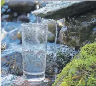  ??  ?? Hasta el momento, se desconoce si el agua “cruda” tiene beneficios