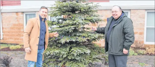  ?? SAM MCNEISH/THE TELEGRAM ?? Mike Wahl, a Canadian Cancer Society of Newfoundla­nd and Labrador (CCSNL) board member, and Al Pelley, vice-president of philanthro­py for the CCSNL, took time this week to kick off the holiday season by lighting up this tree located in the garden at Daffodil Place in St. John’s in purple in support of pancreatic cancer.