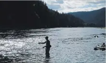  ?? RICH LANDERS ASSOCIATED PRESS FILE PHOTO ?? A fisherman casts on the Kootenai River near the Montana-Idaho border.