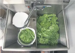  ??  ?? Everything must be washed, including each leaf of lettuce. The left sink is for those that have been finely washed, while the right is awaiting further cleaning.