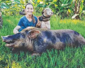  ?? Picture: FACEBOOK ?? INSPIRING: A reader says Shae Pasetti from the Cassowary Coast Regional Hunters Associatio­n is a fantastic role model for girls and women.