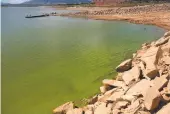  ?? COURTESY U.S. ARMY CORPS OF ENGINEERS ?? Abiquiú Lake is shown Tuesday with a bloom of blue-green algae. The blooms, which can carry cyanobacte­ria, can cause health problems for humans and animals if ingested, inhaled or touched.