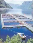  ?? FOTO: IMAGO ?? So könnte es aussehen: Aquakultur in Norwegen.