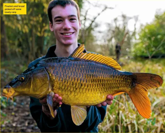  ??  ?? Floaters and bread picked off some lovely carp