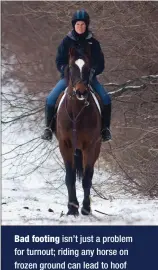  ??  ?? Bad footing isn’t just a problem for turnout; riding any horse on frozen ground can lead to hoof bruises and concussive strain on the structures of the legs. Older horses may have a hard time coping with both of these, leading to both short- and long-term soundness problems.