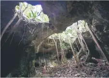  ?? ?? Picture taken in the cave system known as Garra de Jaguar (Jaguar’s Claw), near the constructi­on site of Section 5 South of the Mayan Train between the resorts of Playa del Carmen and Tulum.