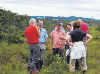  ?? FOTO: MATHIAS BROGHAMMER/RP TÜBINGEN ?? Horst Weisser (Mitte) mit der Expertenru­nde im Wurzacher Ried.