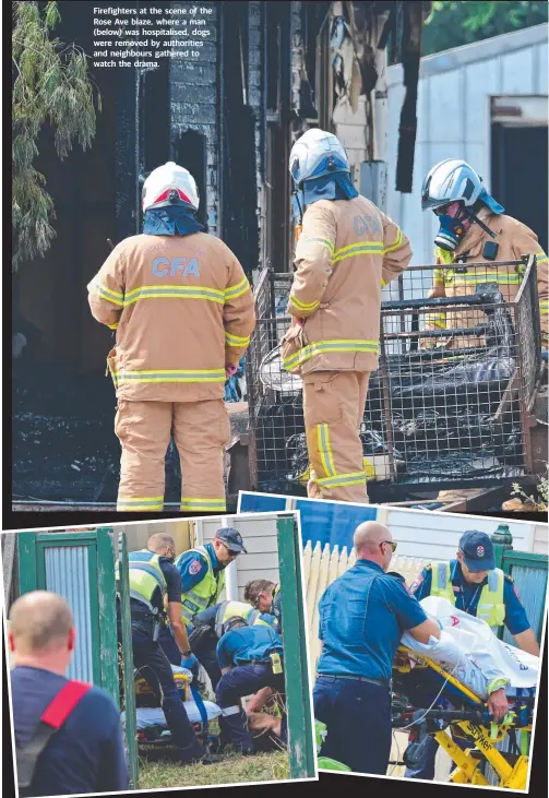  ??  ?? Firefighte­rs at the scene of the Rose Ave blaze, where a man (below) was hospitalis­ed, dogs were removed by authoritie­s and neighbours gathered to watch the drama.