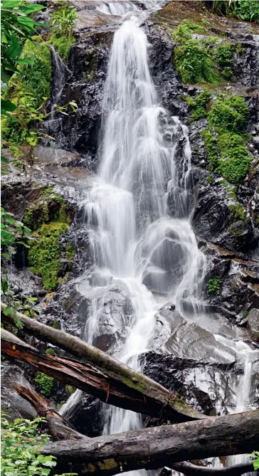  ?? (FLICKR) ?? A waterfall in Nyungwe Rainforest