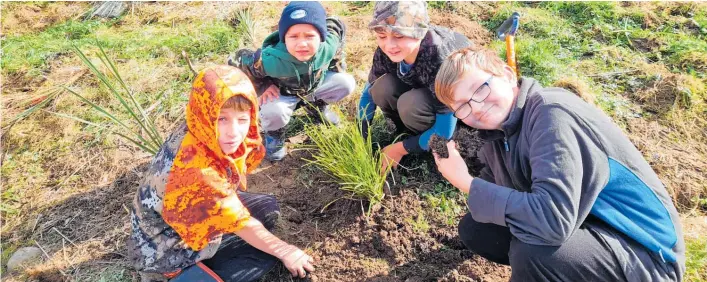  ??  ?? Students from St Anthony’s planting the wetland.