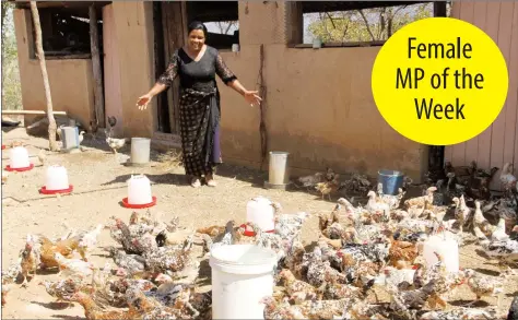  ?? — Picture by Tariro Kamangira ?? Cde Chipo Sanyatwe assesses a poultry project at her rural home in Nyanga.