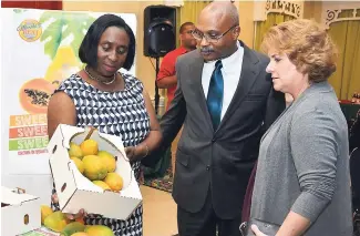  ?? CONTRIBUTE­D ?? Dr André Gordon, author and managing director, Technologi­cal Solutions Limited, examines the high- quality ‘Martha’s Best’ Papaya produced by Advance Farms, while Carol Webster and Leslie Ferris-Yerger, director of Advance Farms, look on during the...