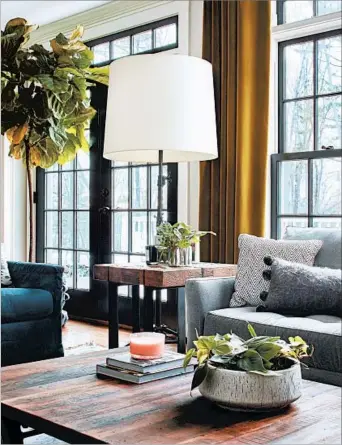  ?? JARED KUZIA PHOTOS ?? Graceful fiddle fig trees with broad, glossy leaves have become extremely popular among homeowners, says interior designer Kristina Crestin, who used one in this Essex, Mass., living room.