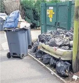  ??  ?? > Rubbish piling up on Belle Walk, Moseley, during the binmen strike