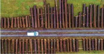  ?? Foto: Philipp Schulze, dpa ?? Holz ist gefragt und oft auch wertvoll. Wer Geld in Holz oder Plantagen anlegt, dem verspreche­n die Anbieter häufig satte Ren‰ diten. Doch Anlegersch­ützer raten, bei der Auswahl sehr vorsichtig zu sein.