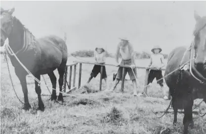  ?? ?? Early days on the Te Pahu farm. George and his brother Tom are with a farmhand.