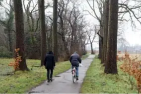  ?? FOTO JVDP ?? De kasteelweg verliest tijdelijk een deel van zijn bomen.