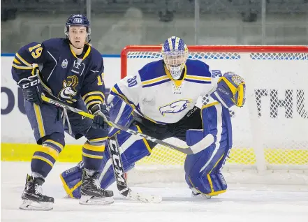  ?? —BOBFRID ?? UBC Thunderbir­ds goaltender Matt Hewitt has had a great season posting career highs of 12 wins and a .920 save percentage, and is a big reason UBC will host Calgary in the first round of playoffs.