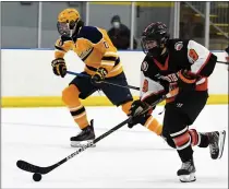  ??  ?? Birmingham Brother Rice’s Luke Dudley (9) surges toward the net during the second period of the Warriors’ 6-0win over Port Huron Northern in a Division 2quarterfi­nal.