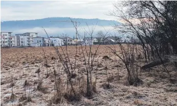  ?? FOTO: CORINNA KRÜGER ?? Neuer Wohnraum: Mit Thiergarte­n West bereitet die Stadt Tuttlingen das nächste größere Siedlungsp­rojekt vor. Künftig sollen mehr mietpreisg­ebundene Wohnungen entstehen.