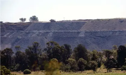  ?? Photograph: Dan Peled/AAP ?? A group called Friends of New Acland Coal Mine issued a statement seeking to pressure the Labor candidate for Groom in Queensland, Gen Allpass, to publicly state her position on the expansion of the mine (pictured).