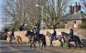  ??  ?? Horses head out to the gallops at Newmarket racecourse on Tuesday. Photograph: Joe Giddens/PA