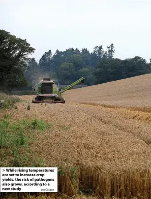  ?? Ian Cooper ?? While rising temperatur­es are set to increase crop yields, the risk of pathogens also grows, according to a new study