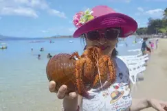 ??  ?? Giant hermit crab caught by Michelle Soliven