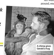  ??  ?? A chimp gives Gerald a hug