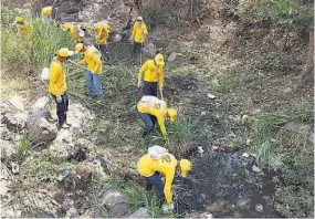  ??  ?? Apoyo. Reos de la fase de confianza del programa Yo Cambio ejecutan las tareas de limpieza en la quebrada Santa Lucía de la ciudad de Santa Ana.