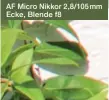  ??  ?? AF Micro Nikkor 2,8/105 mm Ecke, Blende f8