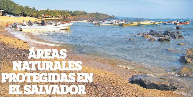  ??  ?? Los Cóbanos, playa ubicada en Sonsonate, posee una extensión de 21,312 hectáreas. Es el único lugar en el país que posee corales formadores de arrecife, corales abanico, gran variedad de peces y cetáceos.