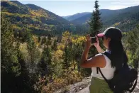  ?? The Associated Press ?? Vanessa Kei photograph­s aspens on Sept. 26 in Eldora, Colo. Recent leaf-peeping seasons have been disrupted by weather conditions in New England, New York and elsewhere. Arborists and ecologists say the trend is likely to continue as the planet warms.