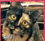  ?? ?? Nala