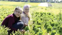  ?? GEIR SVEEN ?? Mira Myrland Oliversen og Eurora Kvie Dorga har i sommerferi­en valgt å gå på kokkeskole.