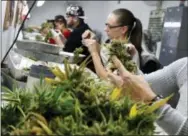  ?? BRENNAN LINSLEY — THE ASSOCIATED PRESS FILE ?? Employees trim away leaves from marijuana plants to be packaged and sold at a dispensary in Denver. Marijuana shops are full of products claiming to be organic, but those labels mean little because organic standards are regulated federally, meaning...