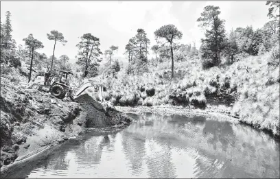  ??  ?? ▲ Adrián Rubalcava no respetó los usos y costumbres para tratar el problema de abasto del agua, dijeron los colonos. Foto Roberto García Ortiz